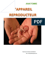 Appareil Reproducteur Cours Epsis