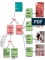 Obtención Higiénica de La Carne