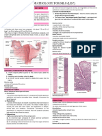 Female Reproductive System Histopath Lec