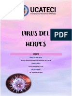 Informe Herpes