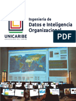 V20200812 Ingeniería de Datos e Inteligencia Organizacional