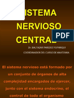 7.-Sistema Nervioso Central