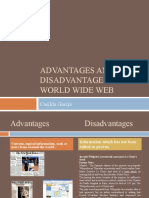 Advantages and Disadvantages of The World Wide Web1