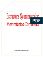 Estructura Neuromuscular