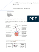 Human Digestive System - Notes-Science Secondary Checkpoint