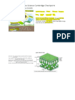 science secondary checkpoint note- plants