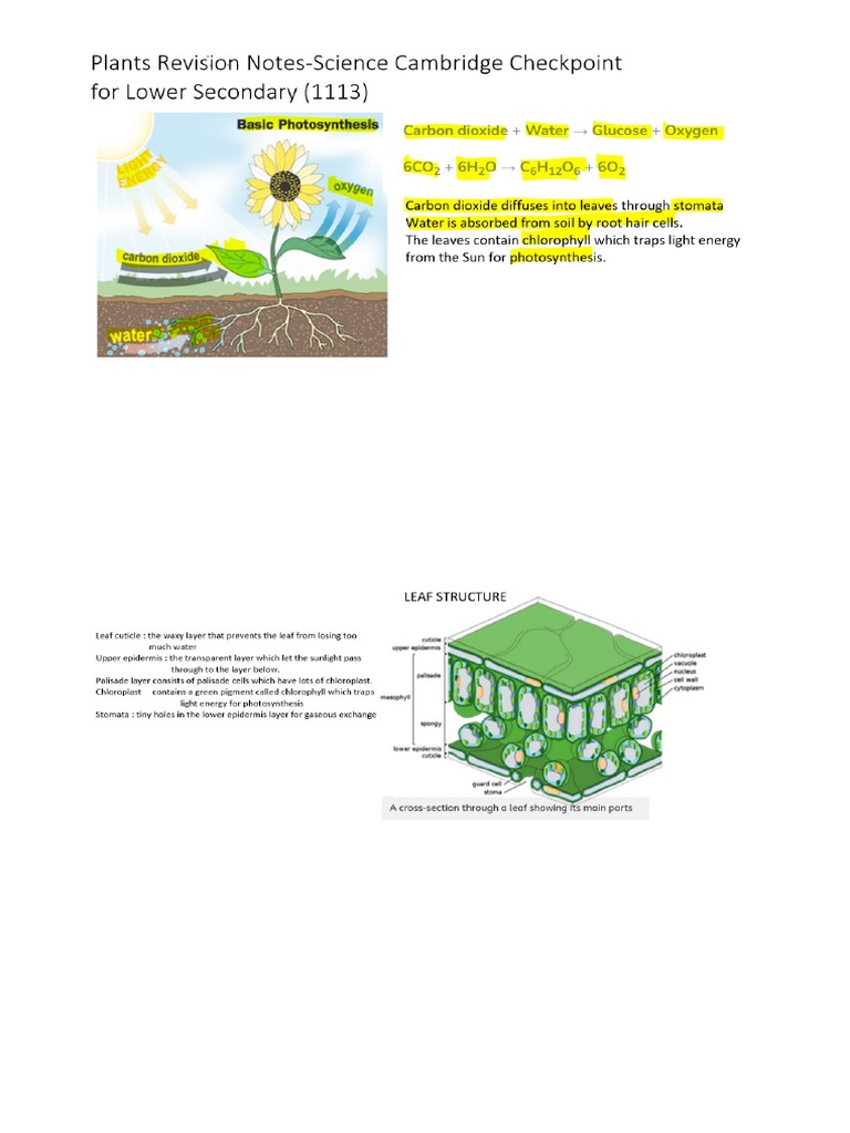 Science Secondary Checkpoint Note - Plants | PDF