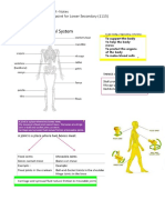 HUMAN SKELETAL SYSTEM NOTES-SCIENCE SECONDARY CHECKPOINT