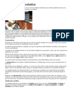 TEXTO INFORMATIVO DESCRIPTIVO