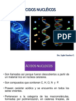 Acidos Nucleicos