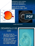 Desarrollo del ojo: formación de la retina, cristalino e iris