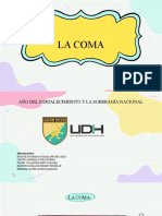 La Coma - Grupo2