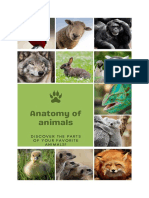 Anatomy of Animals Ebook