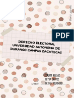 Escrito Derecho Electoral