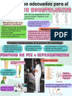 Posturas Adecuadas para El Trabajo Odontológico