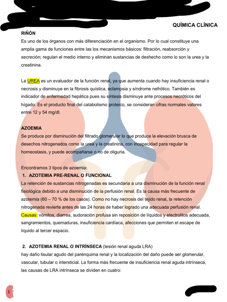 Funciones y Alteraciones del Riñón | PDF | Órgano (anatomía ...