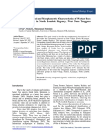 Morphological and Morphometric Characteristics of Worker Bees