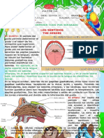 Ciencias - Tercero