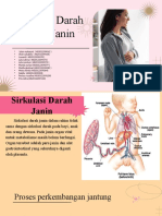 Sirkulasi Darah Jantung Janin 4