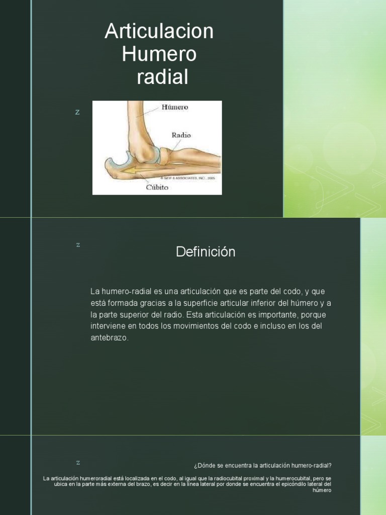 Articulacion Humeroradial 1 | PDF