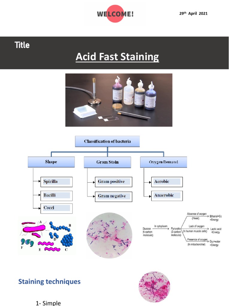 Acid Fast Staining Guide | PDF | Staining | Mycobacterium