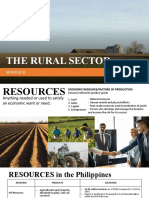 The Rural Sector