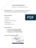 รายงานเรื่อง ระบบกันสะเทือน Suspension