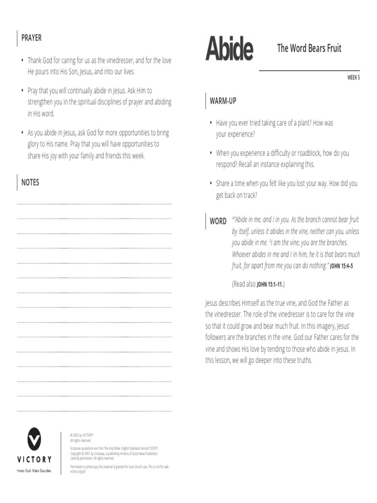 Abide Week 5 The Word Bears Fruit Print PDF