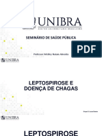 Seminário de Saúde Pública: Leptospirose