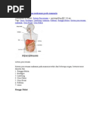 Download Sistem Pencernaan Makanan Pada Manusia by Offie N Sofiyati Fa SN61020149 doc pdf