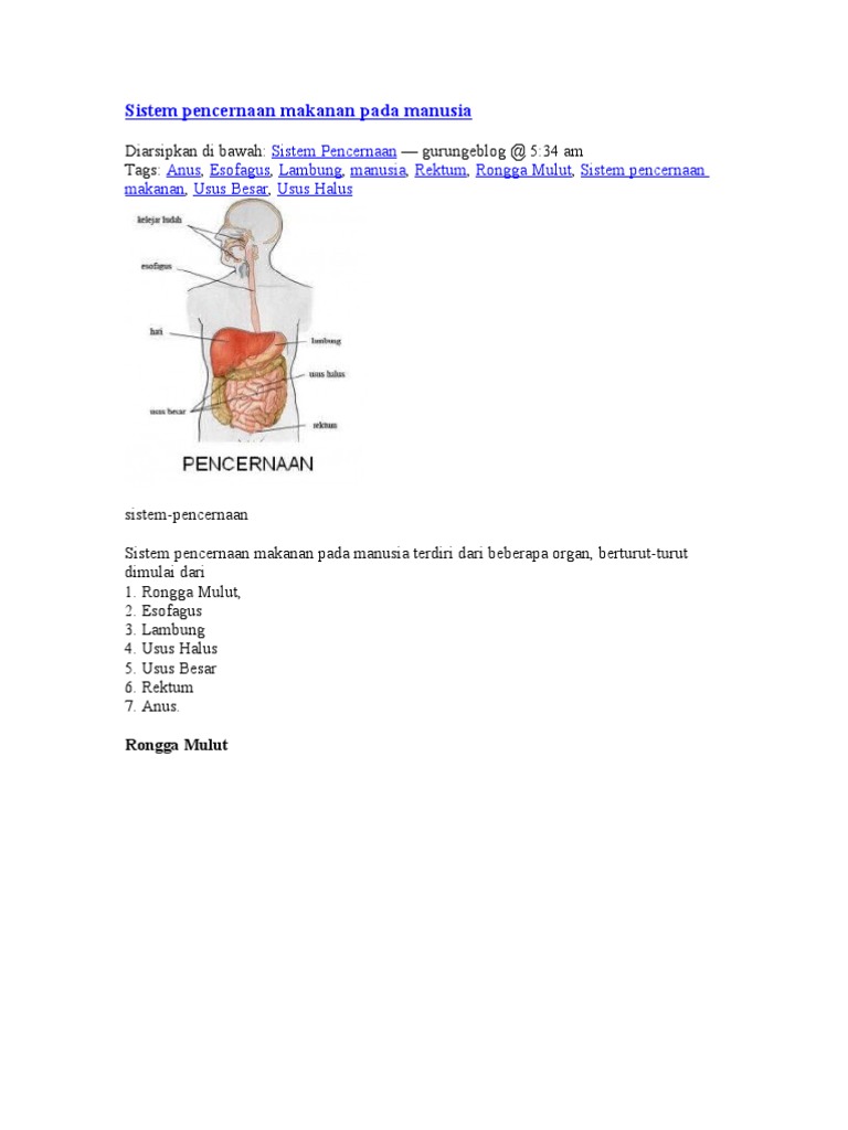Sistem Pencernaan Makanan Pada Manusia