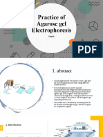 Practice of Agarose Gel Electrophoresis