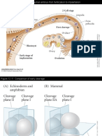 Development of Biology Ch12 Part2