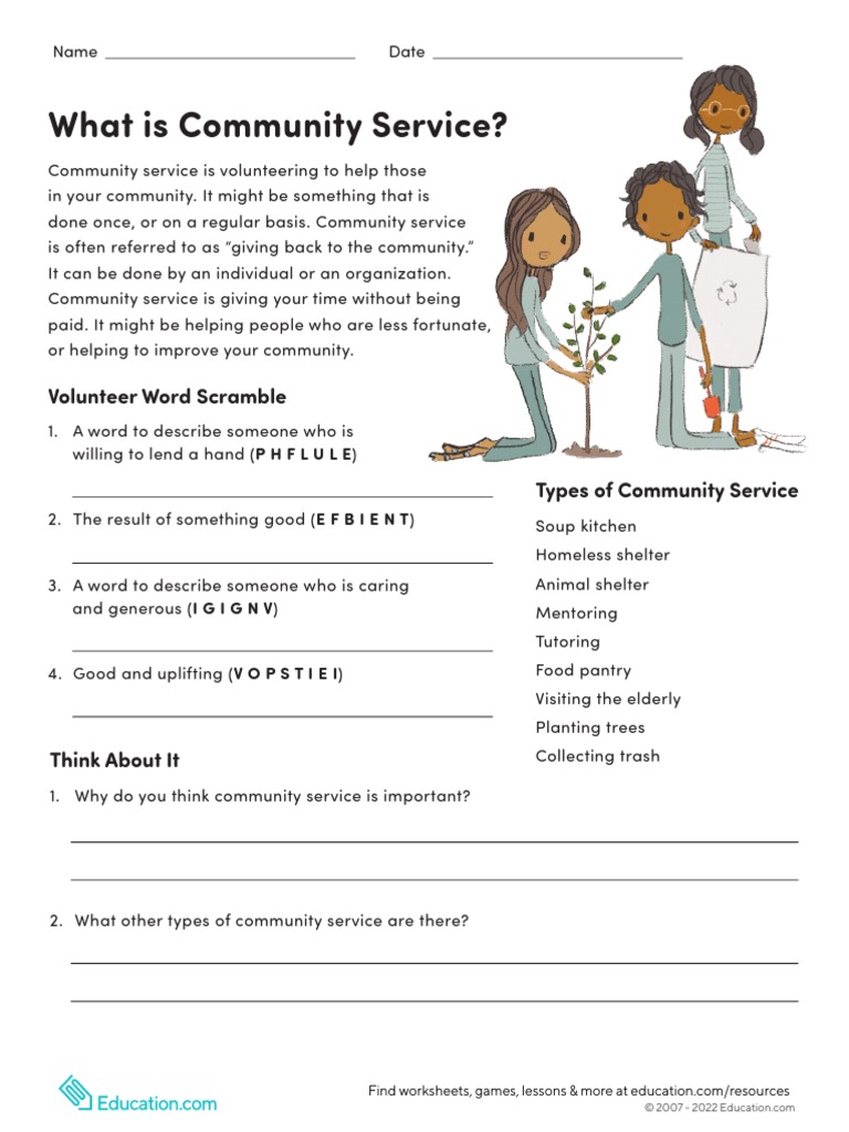 What Is Community Service PDF