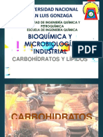 Sem-03-Clas-01-Carbohidratos y Lipidos