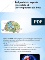 neuropsihologie