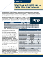 Micotoxinas Hyline