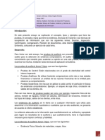 c2 Instrumento de Evaluación 2 Ensayo Anmv 3821