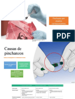 Capacitación Prevención de Pinchazos