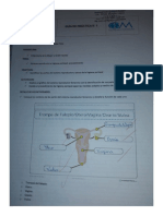 Guia de Trabajo # 1 Sistema Reproductor Femenino (AllisonMoncada)