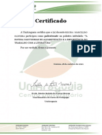 Certificado de Palestra - Regina Marcelino