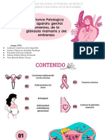 1-Patología Del Aparato Genital Femenino, Mama y Embarazo