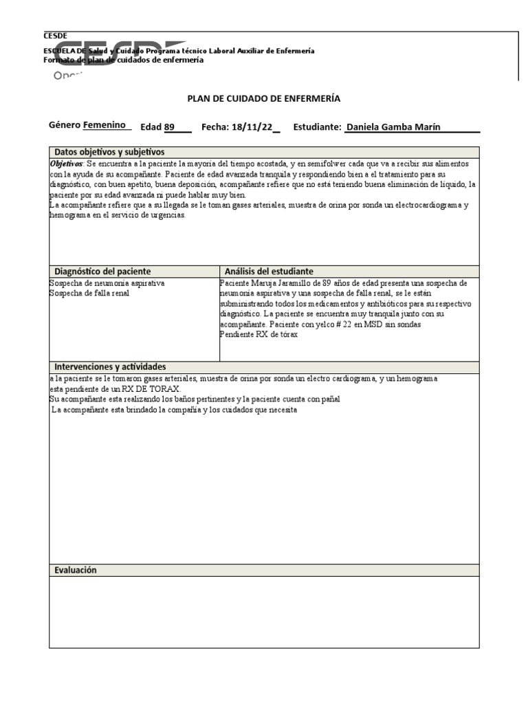 Formato Plan de Cuidados de Enfermería | PDF