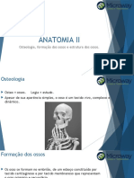 02 Anatomia II