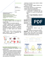 Sistema imune: quimiocinas direcionam linfócitos T e B em zonas específicas dos linfonodos