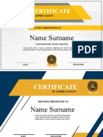 Certificate: Name Surname