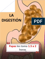 La Digestion y Mas