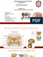 Anatomia de La Pelvis y Las Mamas