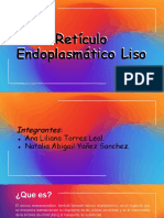 4. Retículo Endoplasmático Liso