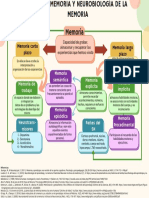 Tipos de Memoria y Neurobiología de La Memoria